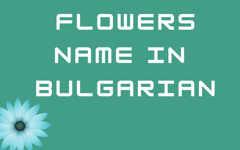 Flowers Name in Bulgarian