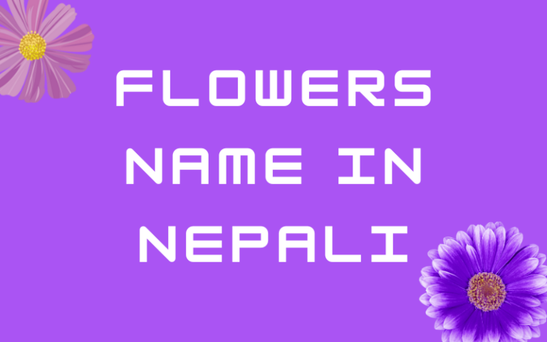 name of flowers in english and nepali