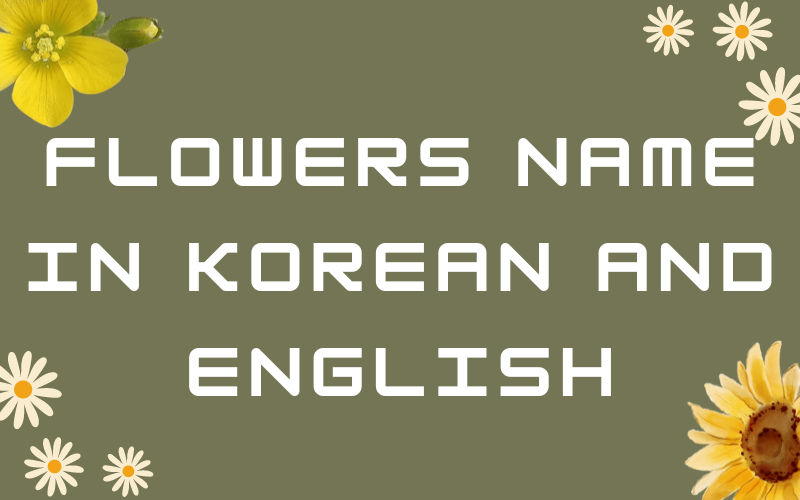 flowers name in Korean and English