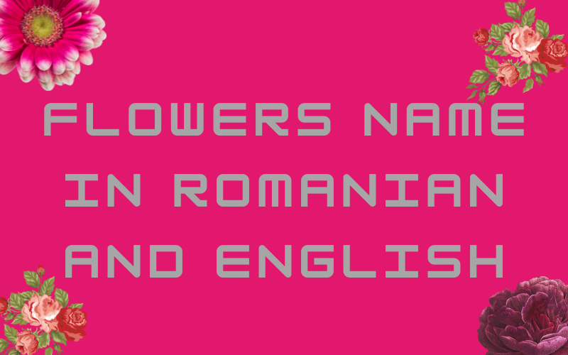 flowers name in Romanian and English