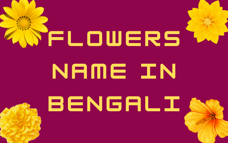 Flowers Name In Bengali