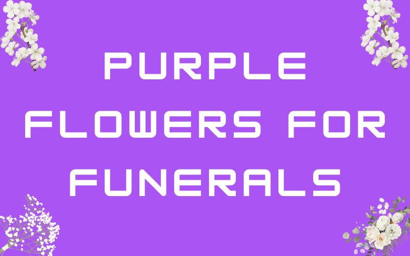 Purple Flowers for Funerals