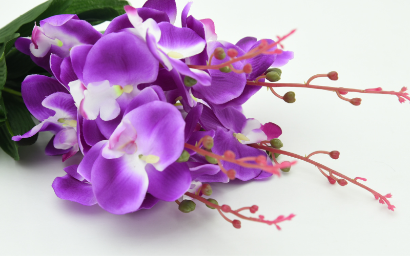 The symbolism of purple flowers -