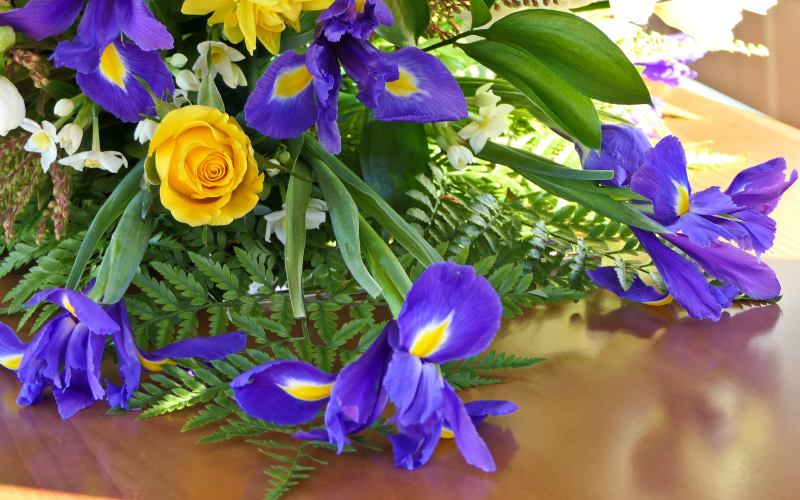 Purple flowers used for funerals -