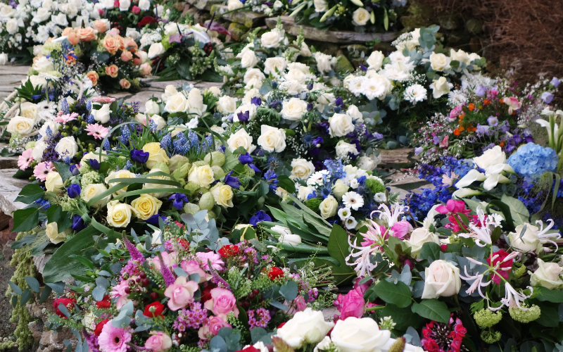 Alternative options to traditional funeral flowers -