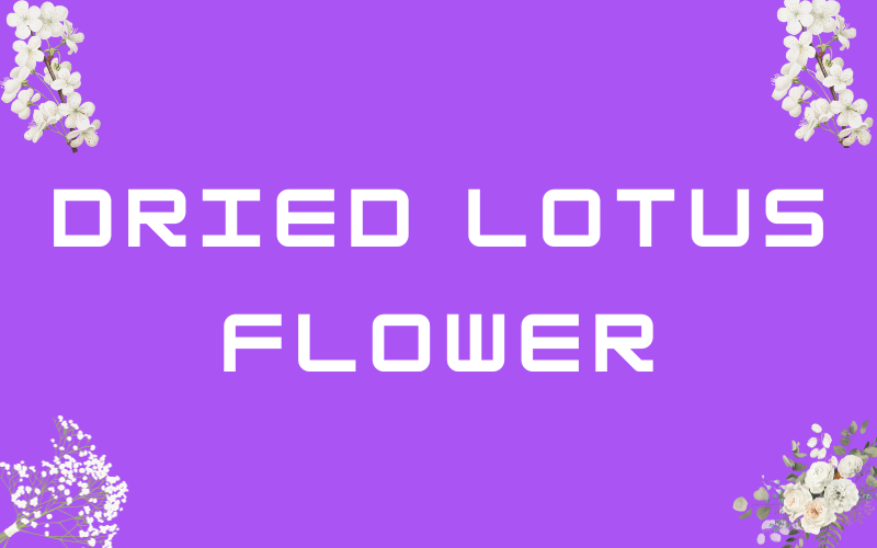 Dried lotus flower