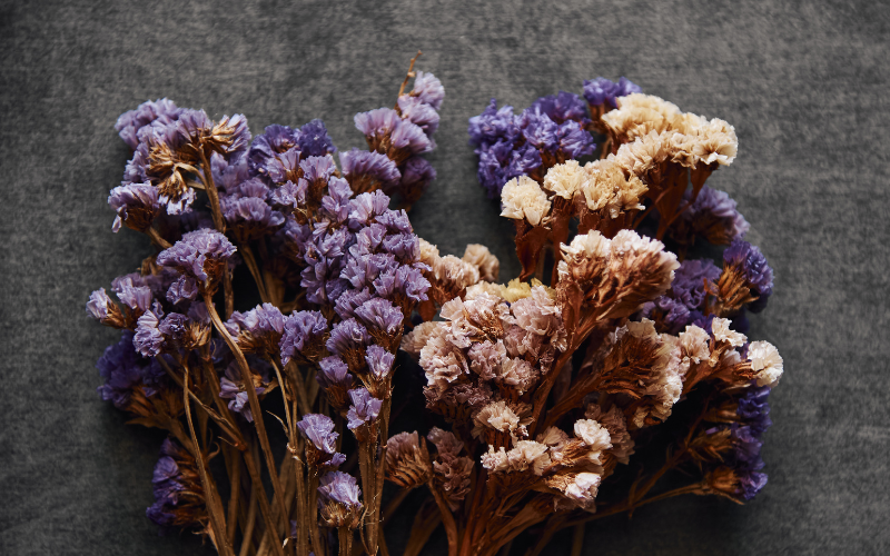 Dried Flower Bunches
