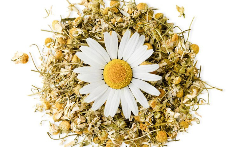 Chamomile flower price in India