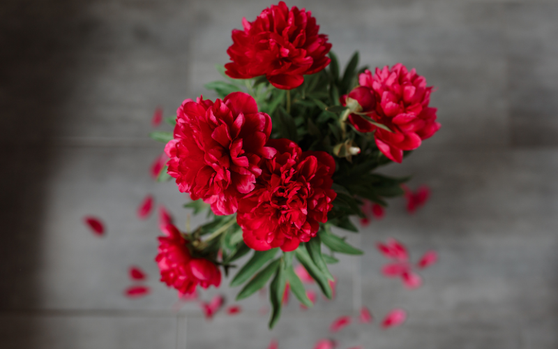 Red Funeral Flowers