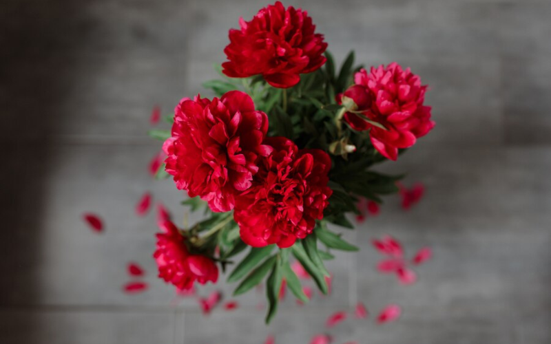 Red flowers meaning