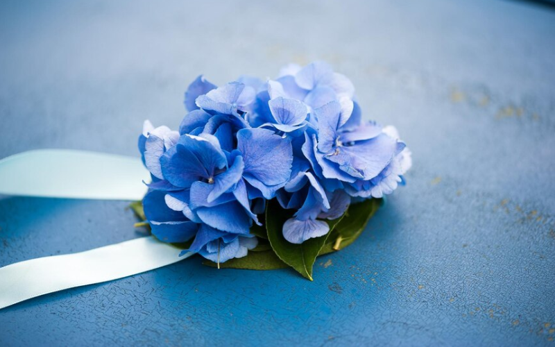 blue flowers funeral meaning